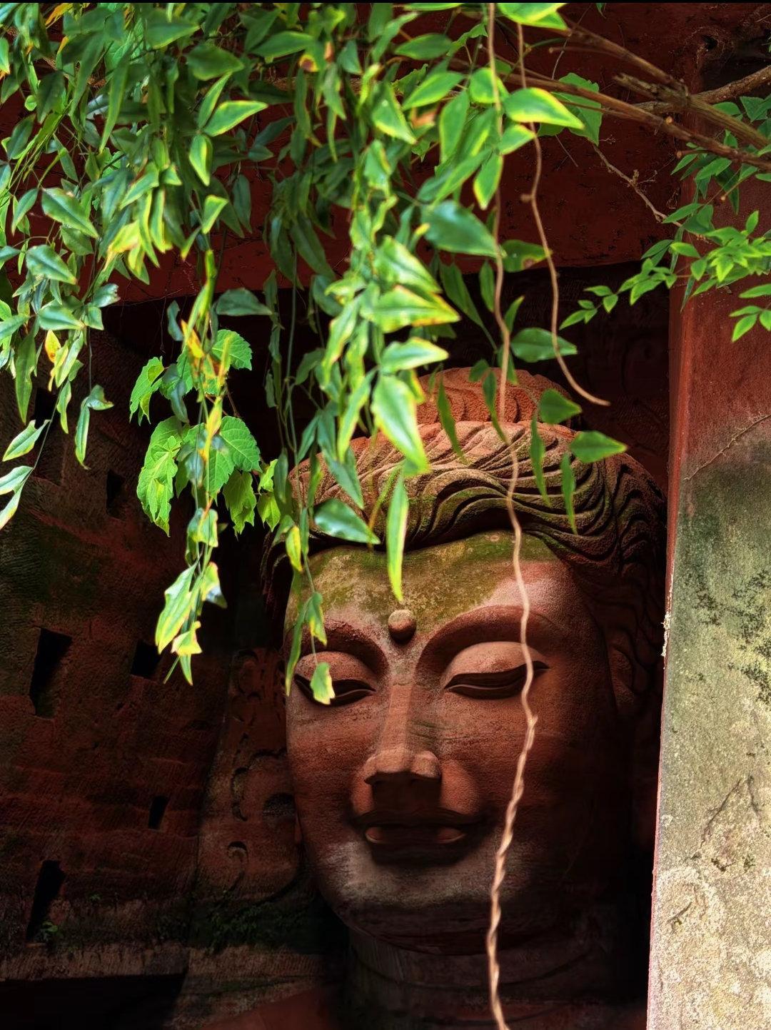 光纤概念2025年年报利润增长的公司长光华芯，688048永鼎股份，600105