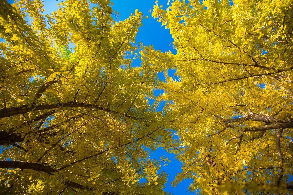 投资人到公司做业务尽调，要从生意的常识去做尽调不要被一些包装的概念所蒙蔽，要透过