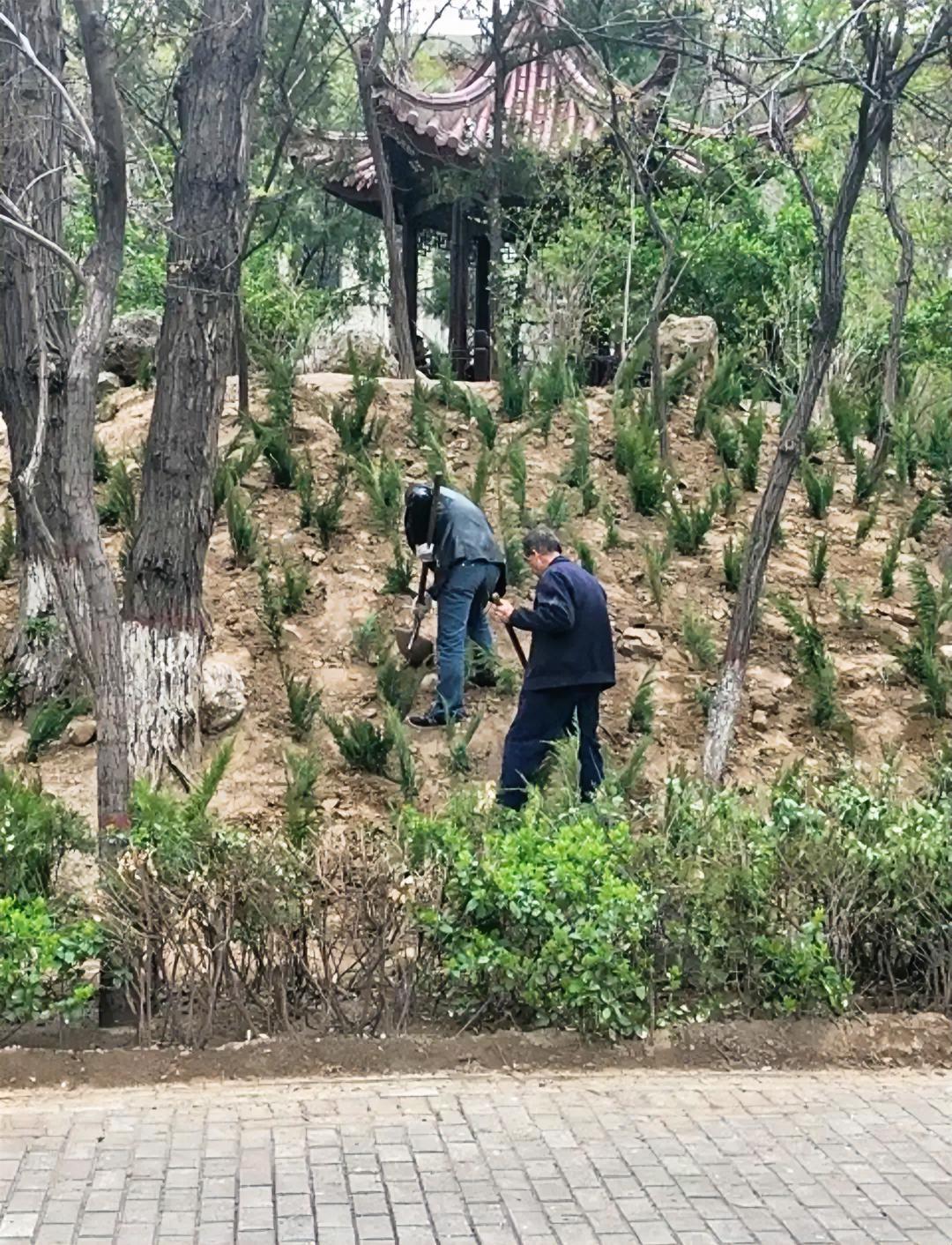 我七十多岁的老妈和别人家的老妈不同，人家的老妈都爱和女儿聊天拉家常，长时间等不到