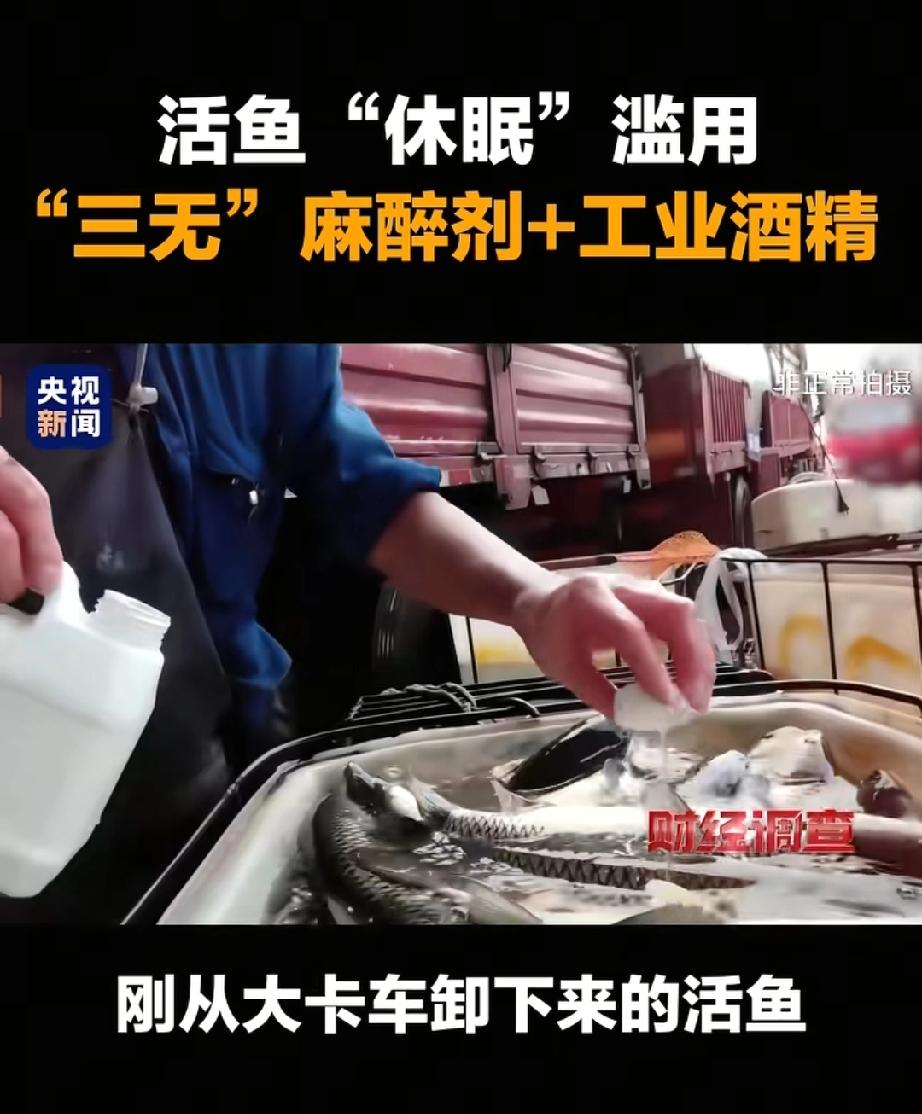 央视曝光的新闻你看了吗？爱吃鱼的人，天都塌了！你知道不，现在有些鱼看着活蹦