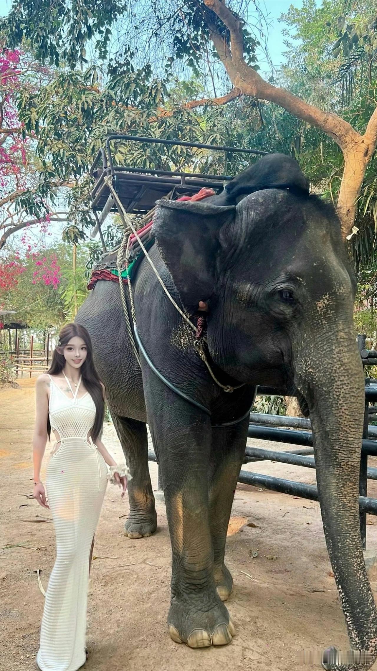 与大象亲密接触，体验异域风情！🐘💃🏻