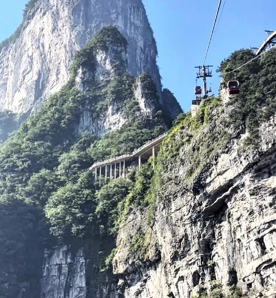 怪不得没有人爬天门山，原来天门山不用爬，都是坐索道上去和下来的。更令人惊奇的是