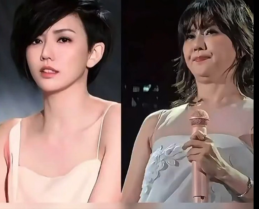 刷到孙燕姿这个，看到女神变样......差点自闭[笑着哭]​​​