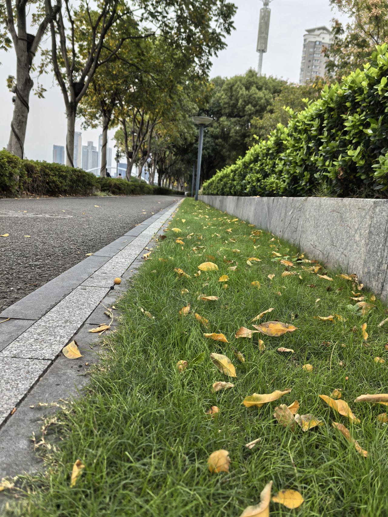 已经有四个多月没跑步了。晨起，外面阴天，微风，气温17度，太适合跑