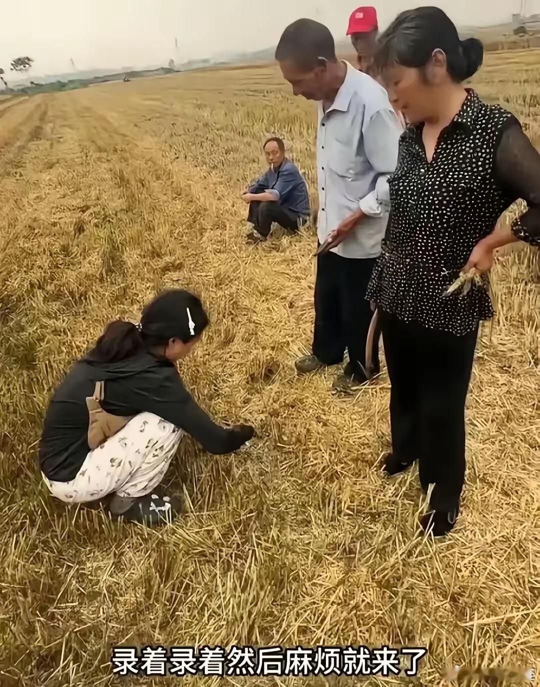 襄阳“割四赔五”的过程中，老太太在没有收割之前就已经暴露了耍赖的本性，可惜，农机