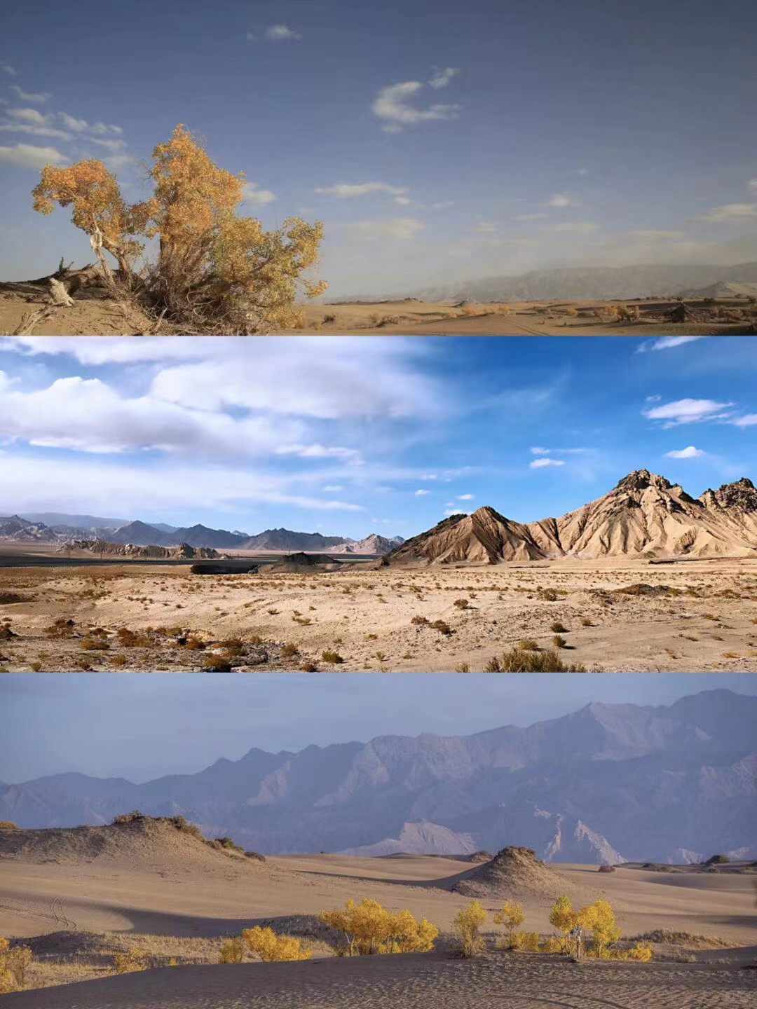 看完生命树想去青海了被《生命树》里的青海美景狠狠治愈！雪山、戈壁、高原实景美到