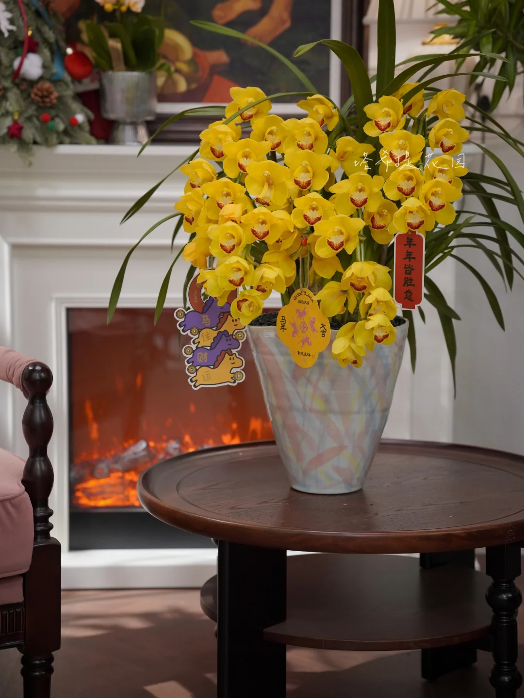 高品质大花蕙兰的养护