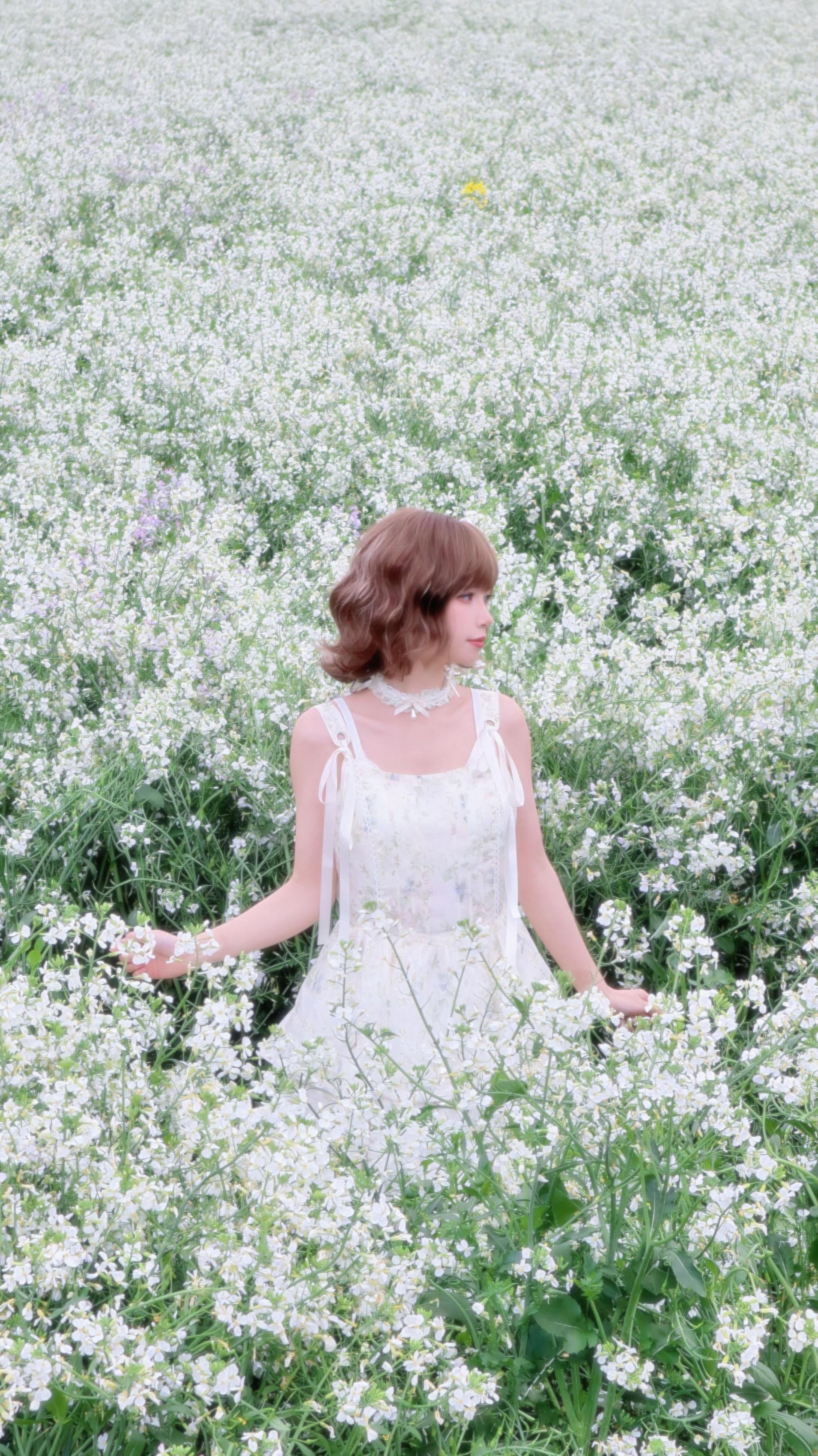 我能请你看萝卜花吗 别误会不是请你吃萝卜