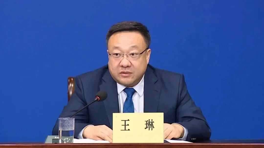 王琳已任新疆维吾尔自治区党委副书记