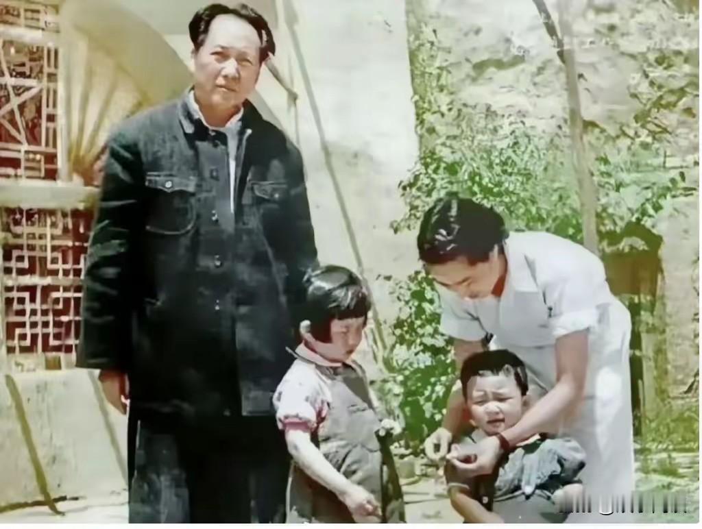 延安窑洞小院，留存着毛主席一家珍贵的温情一刻。古朴窑洞，庭院清幽，草木丛生，勾勒