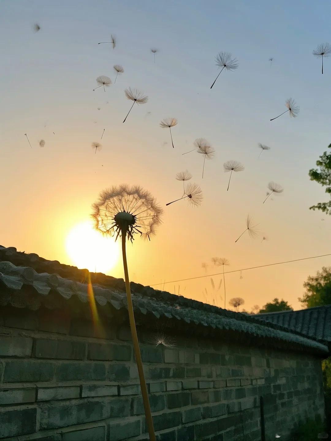 风暴与航路：全球海运业在重构中驶向何方？2026年的全球海运业，正经历着一场前所未有的压力测试。从红