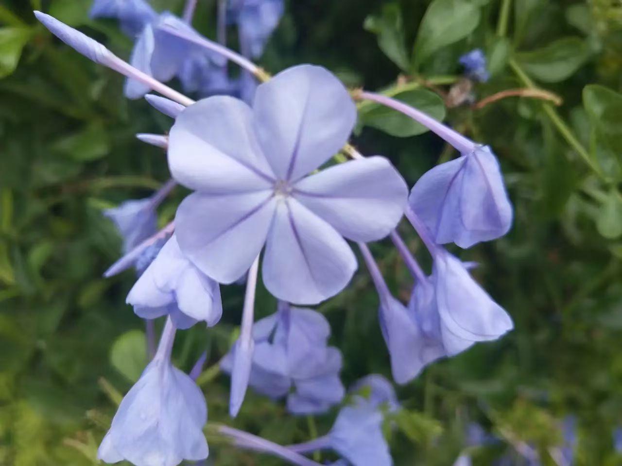 春天，是人间的布洛芬。走到户外，春风拂面，花开娇艳，心花怒放是清欢……[赞][