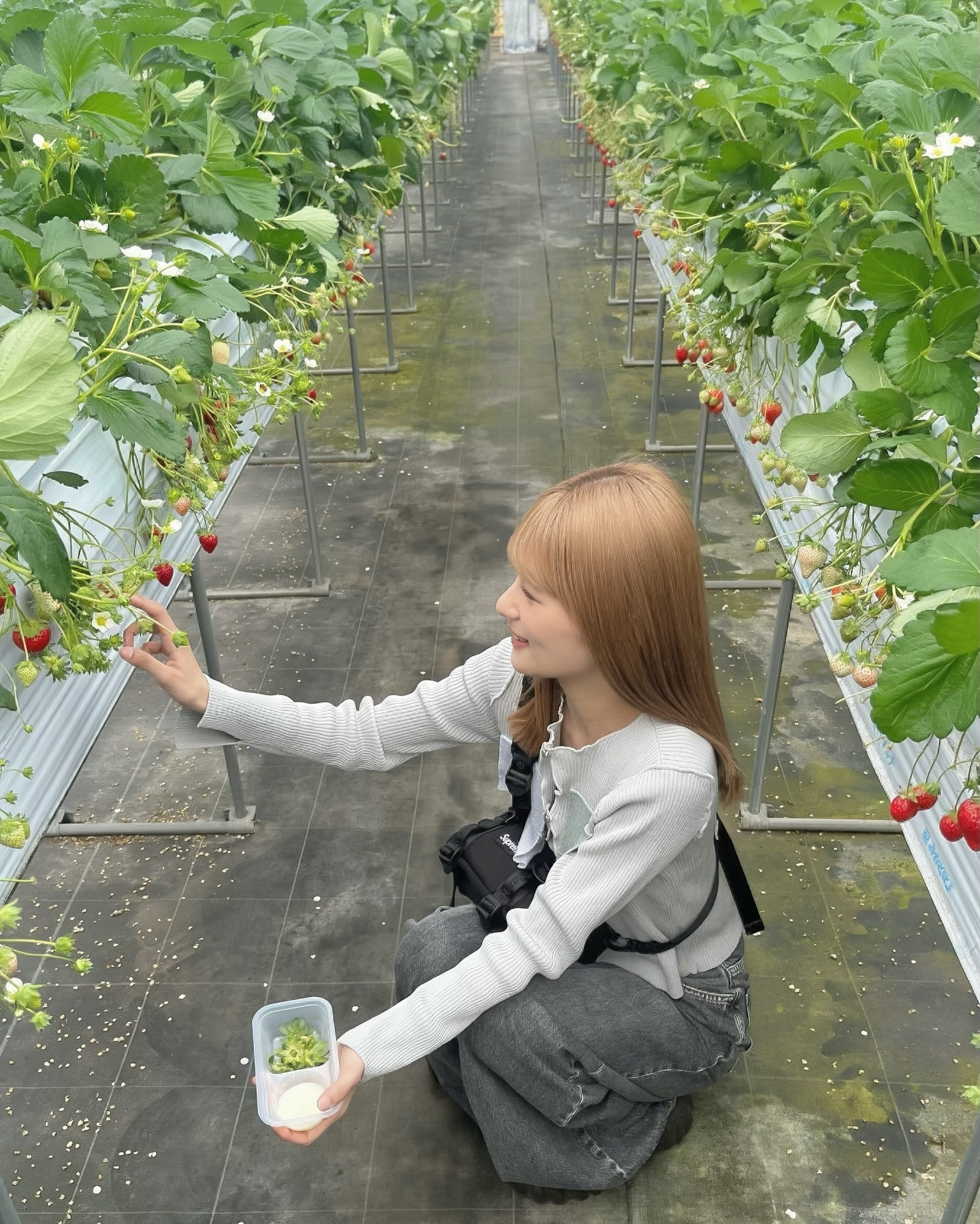 井上梨名「おいしかったー🍓」