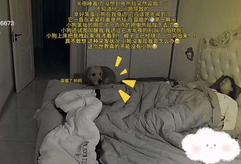 这只吉林金毛太神了！用生命唤醒主人，才懂什么是双向奔赴的爱！女子熟睡中被狗狗反