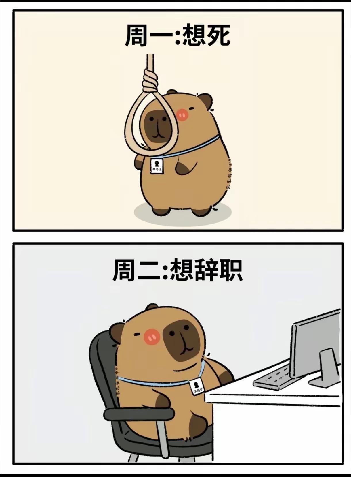 神了，我就是一上班就没精神。