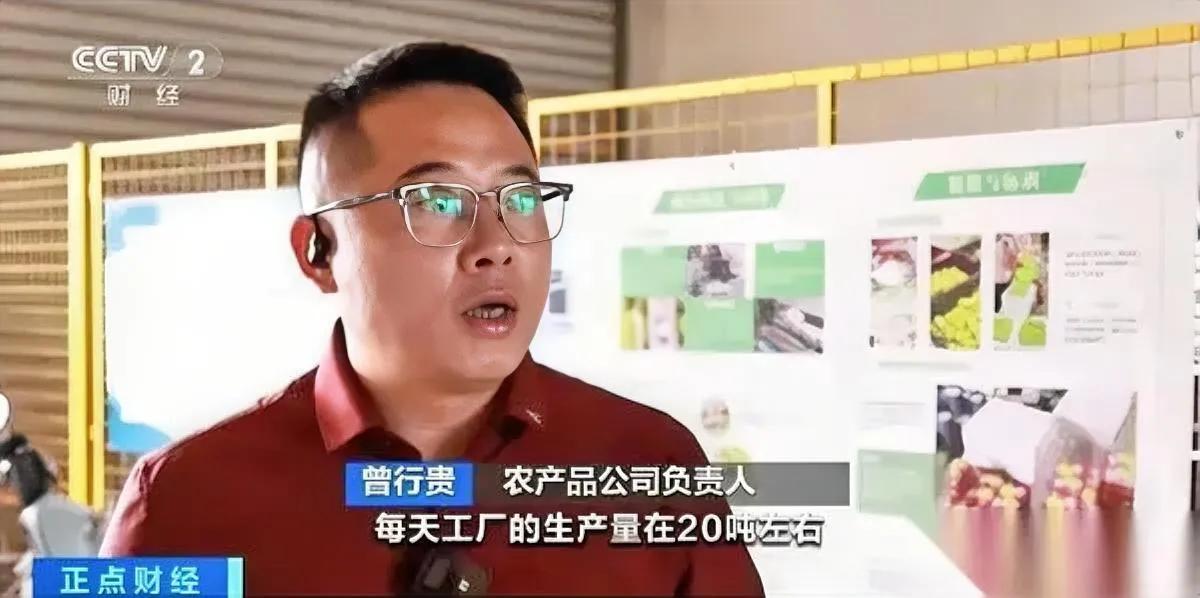 杨梅会长哭了？你可太天真了。他哭的根本不是卖不出去的杨梅，是自己砸了的饭