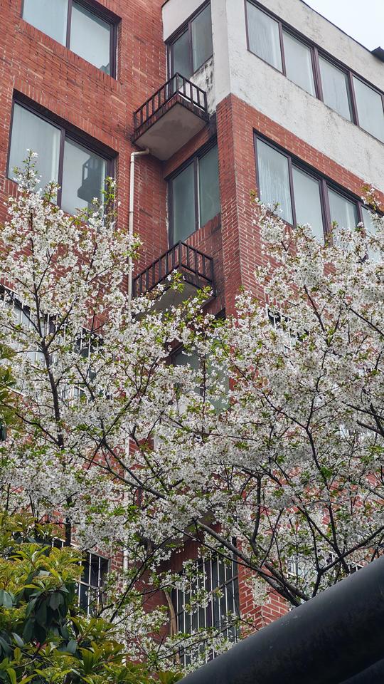 我手机里有张随手拍的照片，是在一个海边小镇拍的。那天傍晚，我沿着海岸线散步，不经