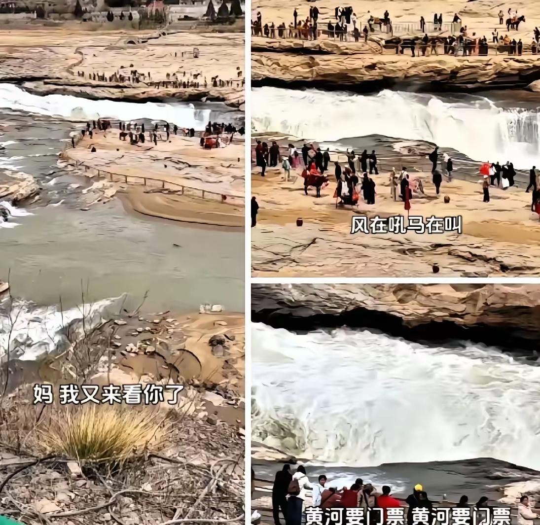 风在吼，马在叫，黄河要门票，这一句魔改歌词，听着搞笑又扎心。3月22日壶口瀑布