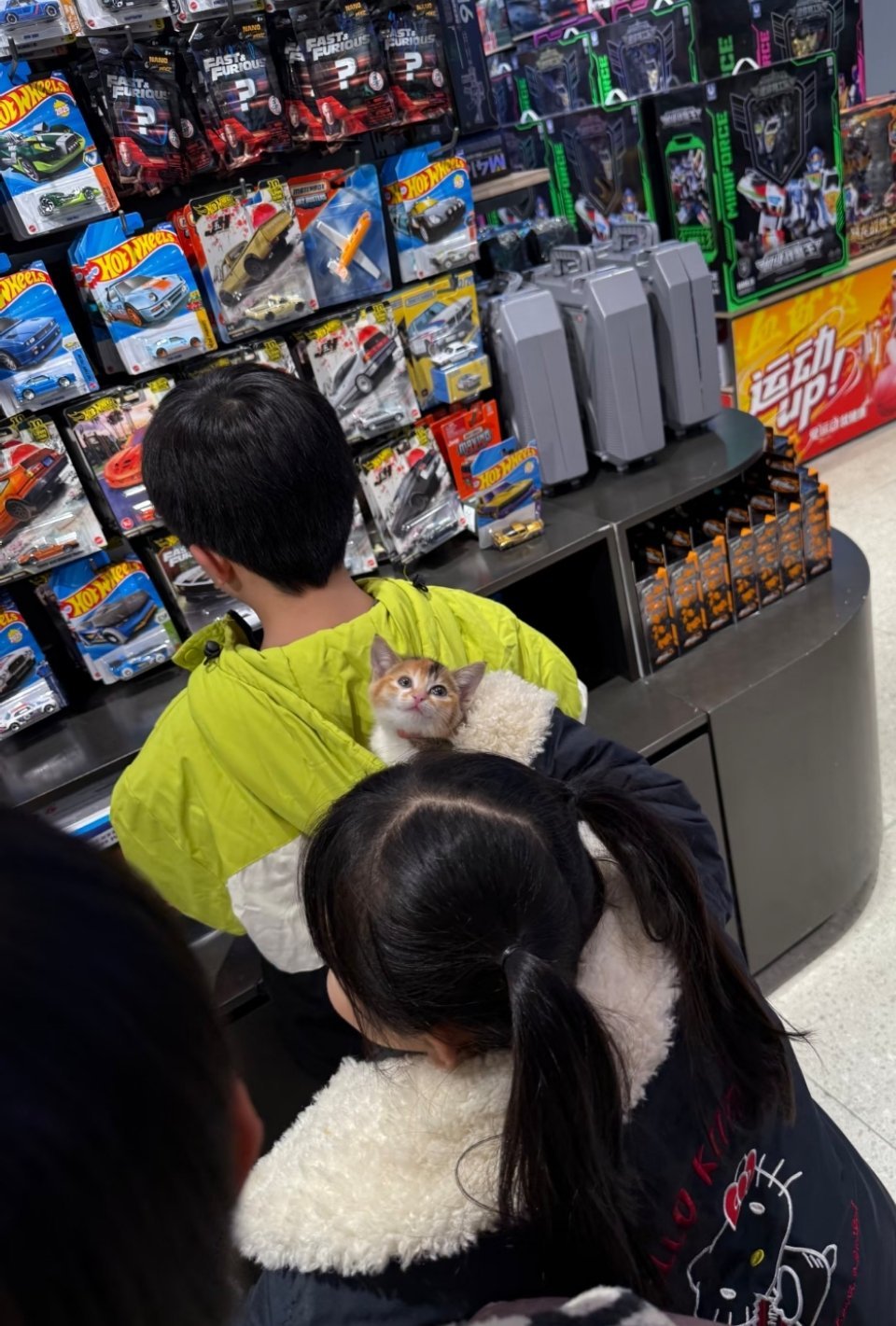 小猫咪，小朋友