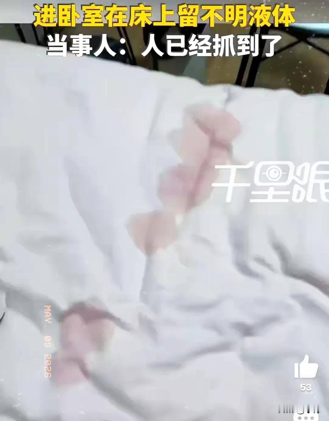 太吓人了！浙江杭州，常女士和养猫室友合租房子，睡熟中却摸到黏糊糊的液体，常女士瞬