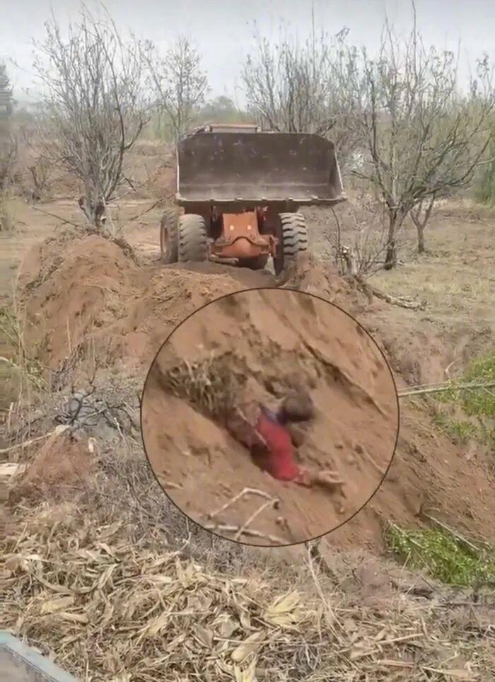 【#山西代县回应“原村支书开铲车埋村民”#：已刑拘，涉土地纠纷】近日，网上有视频