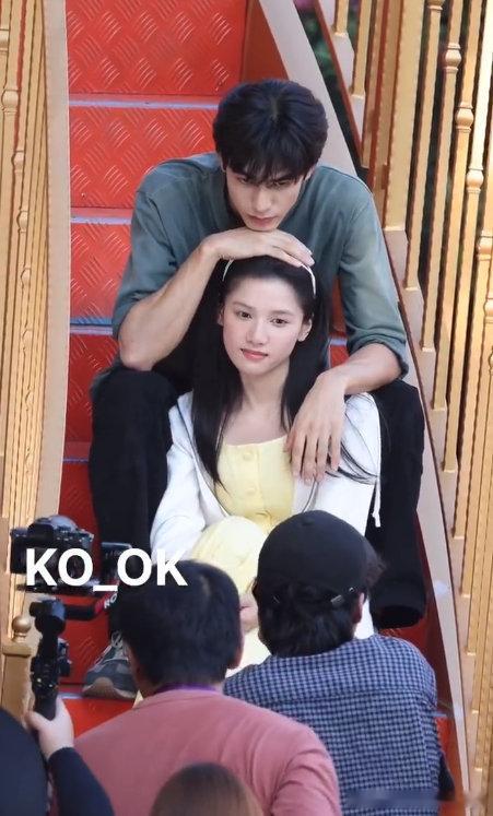 瓣组对野狗骨头的预期