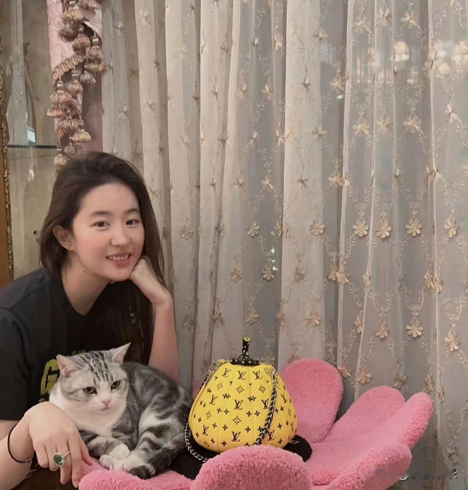 刘亦菲超爱猫咪，常和猫咪一起出镜。看那画面，感觉猫咪都透着股机灵劲儿，仿佛比她还