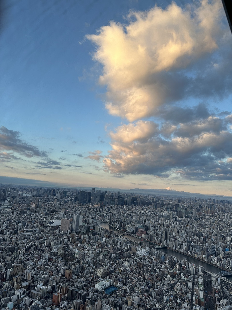 里奈「晴れ着も着させていただき、しかも私のサイリウムカラー！💚💛今回初めての