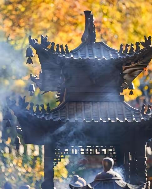 雷音寺的房梁上趴了一只蜘蛛，天长日久听佛祖讲经，它渐渐有了佛性。500年过去了，