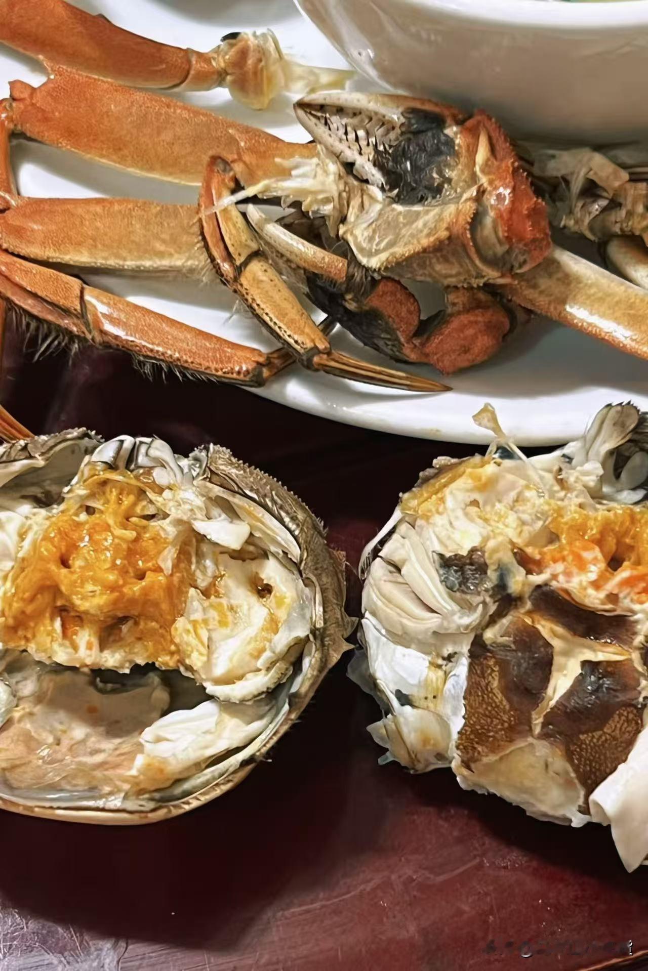 秋日顶流🦀美味大闸蟹挑选攻略！秋风起，蟹脚痒！秋天的快乐真的是大闸蟹给的😭