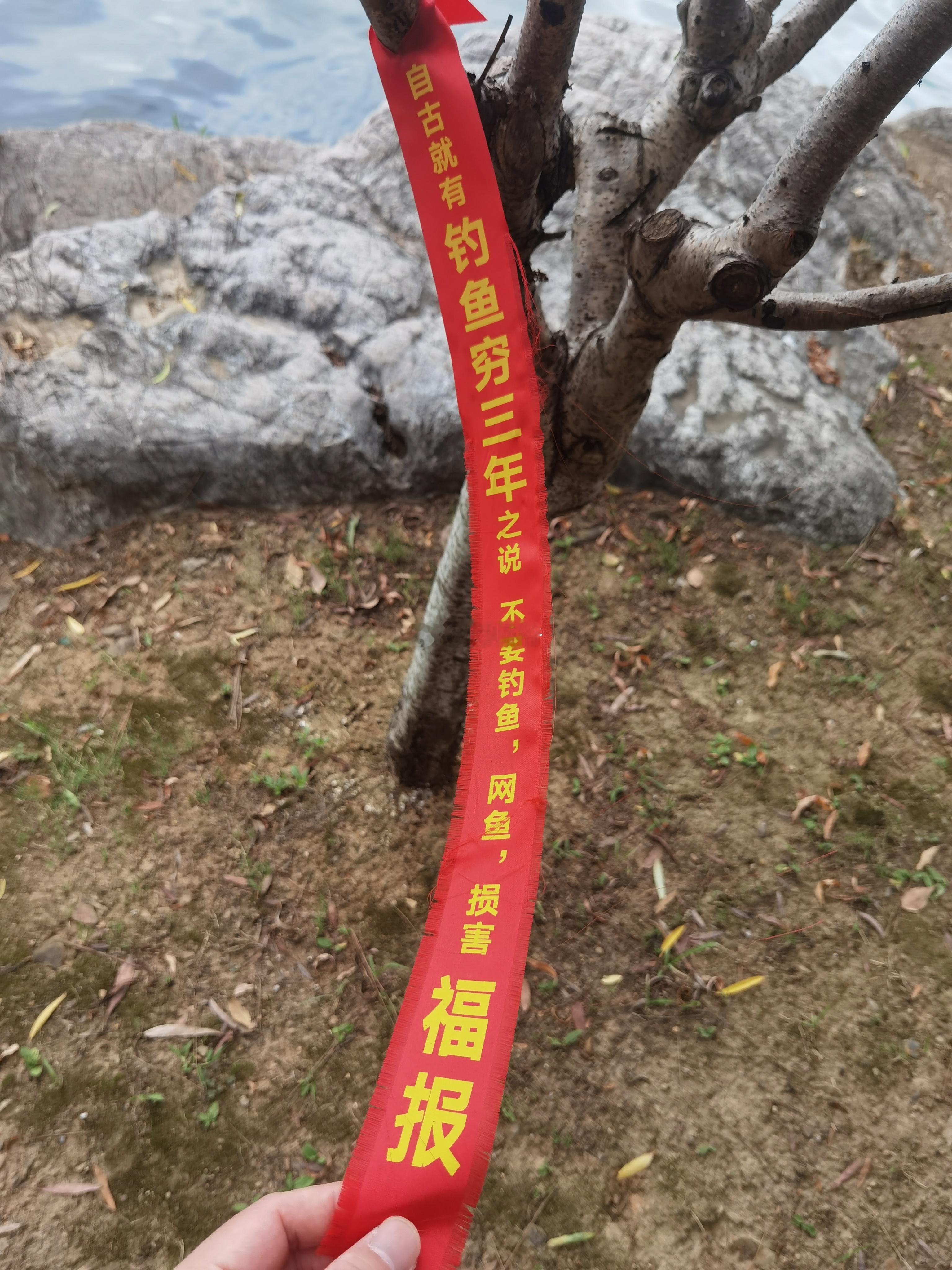 不知道钓鱼佬看了会作何感想？[捂脸哭]​​​