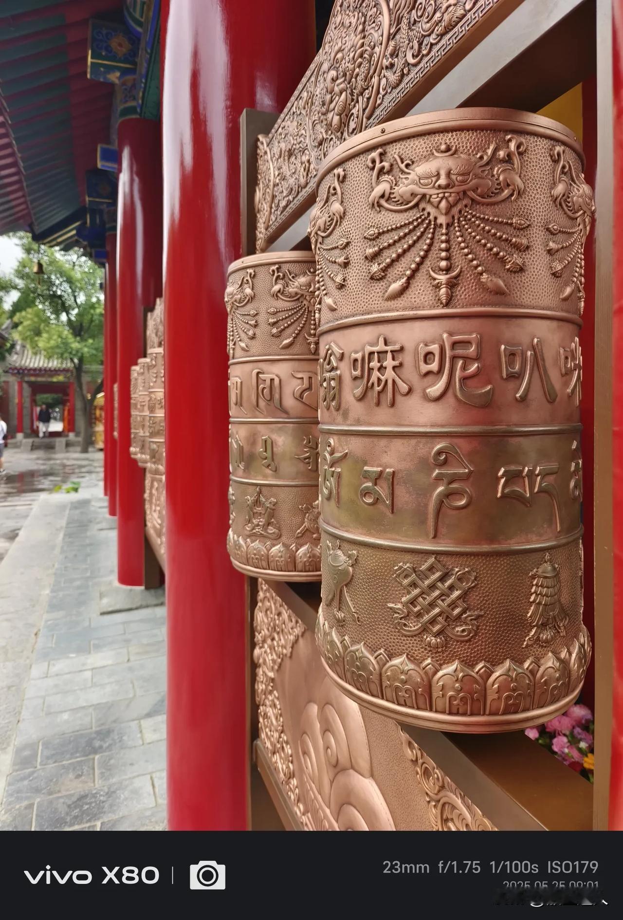 如今网络上报道了许多黑人在中国的霸道恶行之后，紧接着网络里就冒出了不少所谓的律师