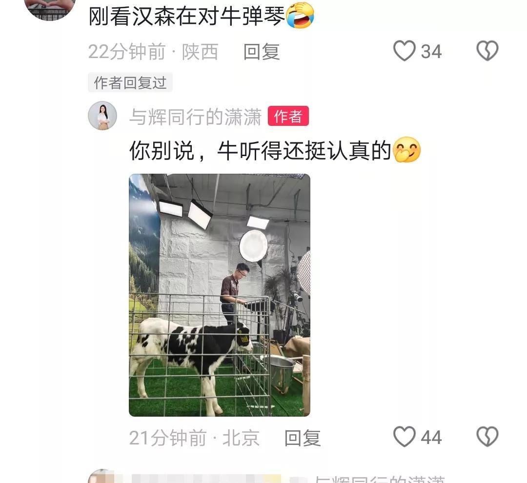 连潇潇都忍不住发了视频，与辉同行的神秘主播上场，这头小奶牛不一般，有朋友说，刚刚