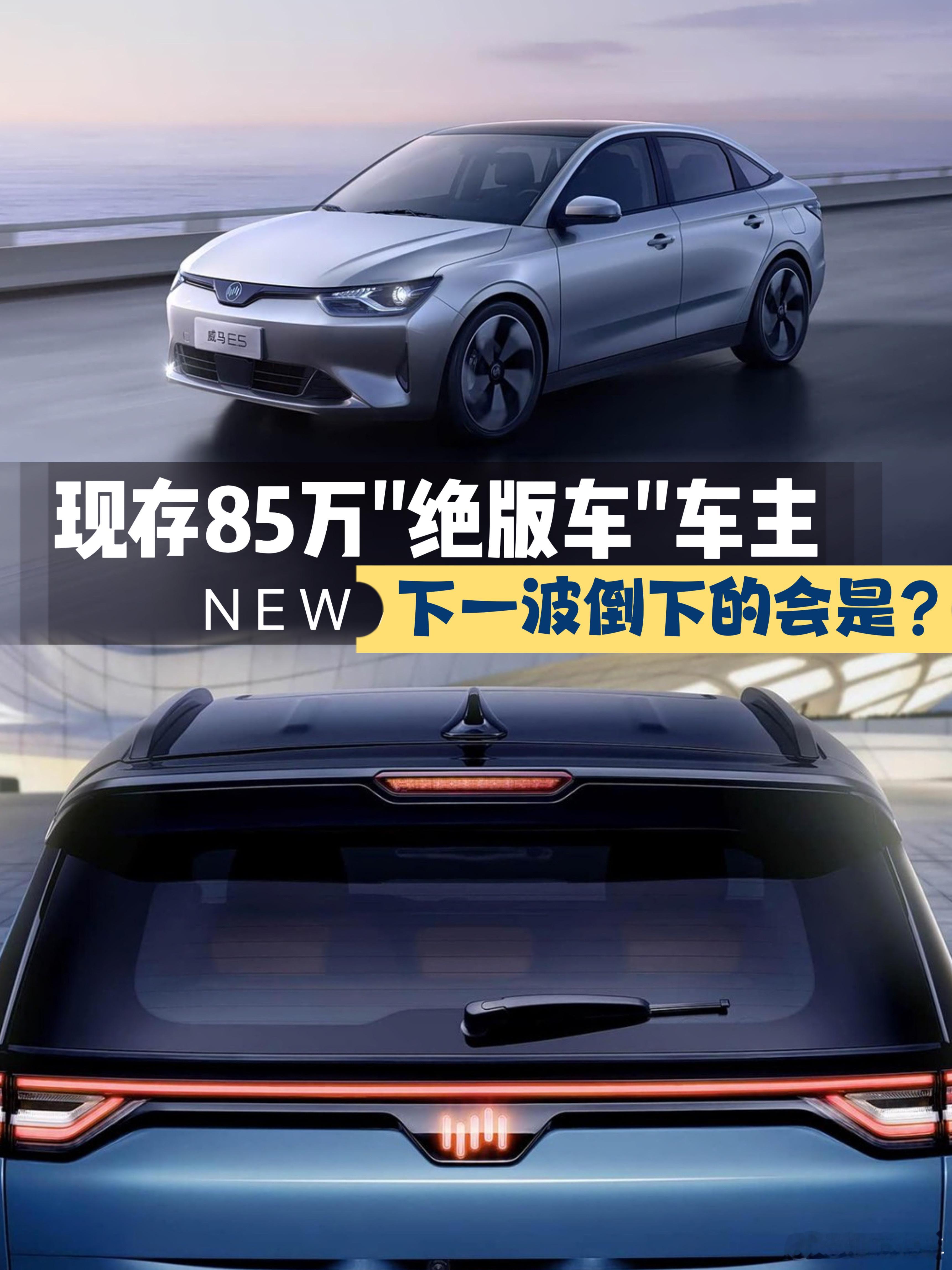 车还在厂没了，85万“绝版车”车主，下波倒下的会是谁？现在还有人愿意买威马吗？就