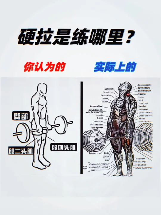 硬拉是练哪里？真男人一定要练硬拉！