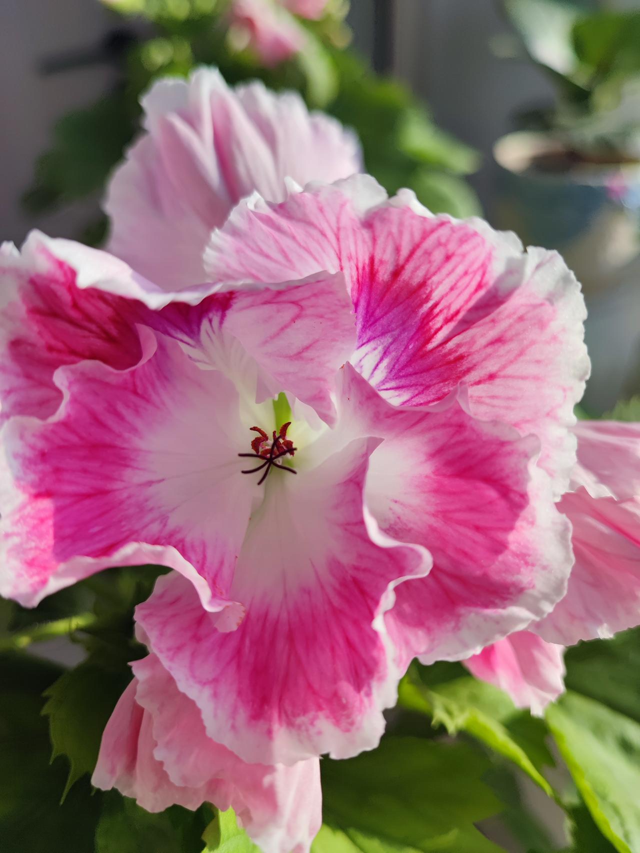 我媳妇没让你老公睡了！尴尬。遇到多年不见得老同学，他原来和我闺蜜谈过恋爱，