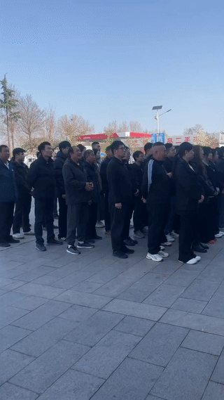 领导正在给员工开会。站在最前面的一只流浪狗却意外抢镜？它和大家一样非常认真的