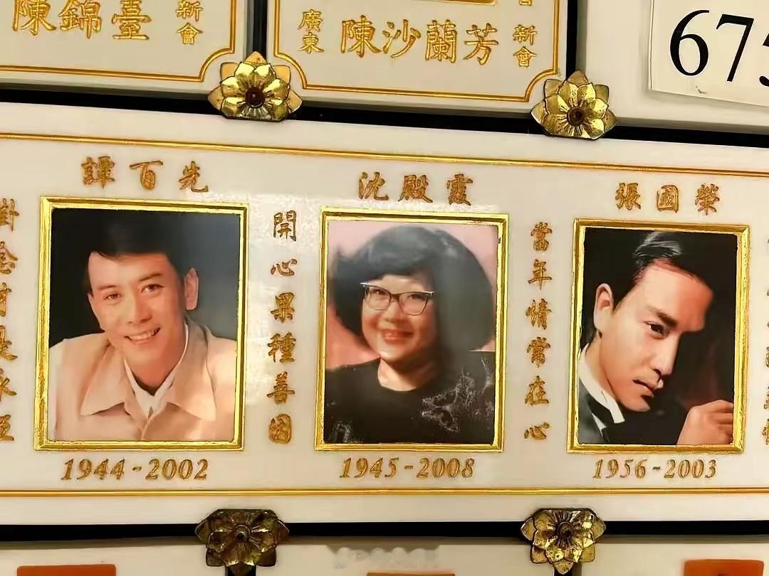 都说养儿防老，看了谢霆锋对四哥的安排，我是真懂了啥叫“生子当如谢霆锋”！据说谢霆