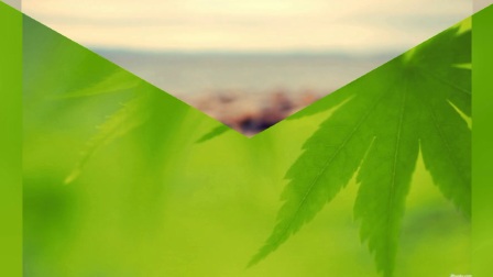 哭砂(原人原唱) 高胜美_土豆视频