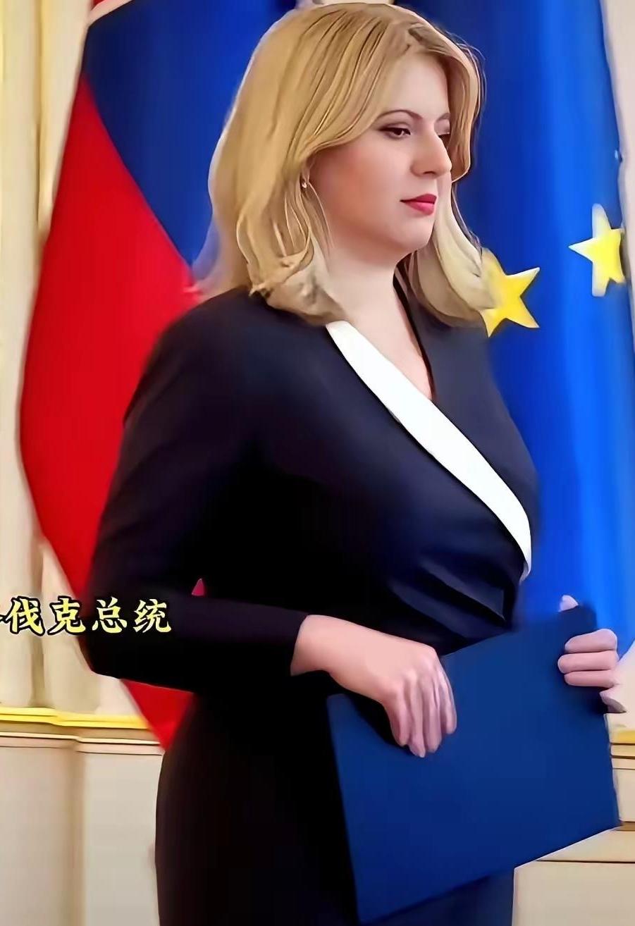 斯洛伐克女新总统颜值实力双在线，让人过目不忘，是真的吗？‌恰普托娃的外貌特征鲜
