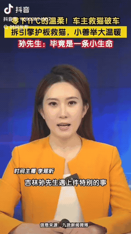 11月26日，吉林省吉林市，在零下11℃的严寒中，一只流浪猫躲在一辆车的引擎里取