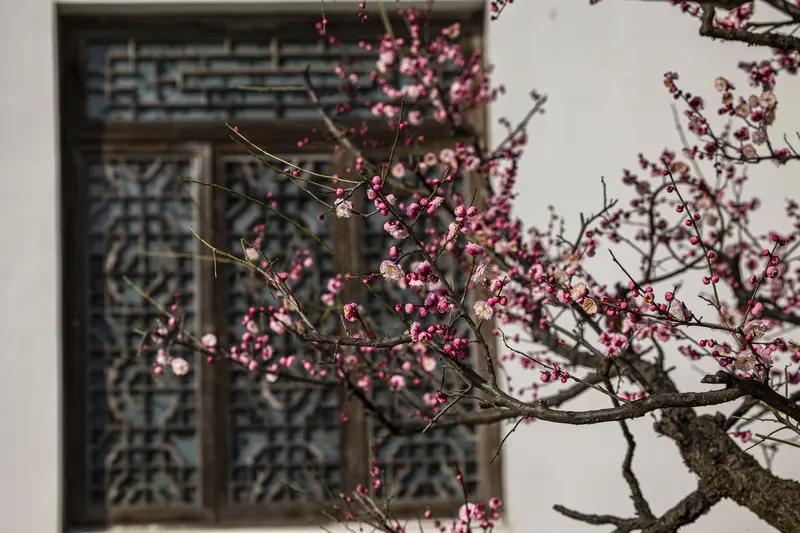 上联:梅落窗台春送信，求下联？菊开东篱秋邀客