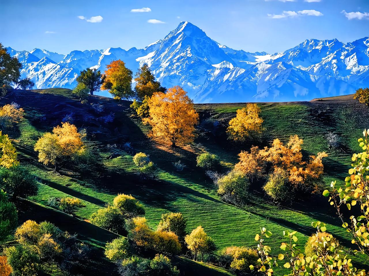 昨天看到一个上海的公司年终分红的时候，领导拿的年终奖是30多万，普通的员工只拿了