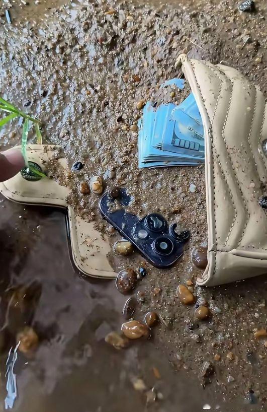 在河边看到的，你们说我该不该捡回家呀？