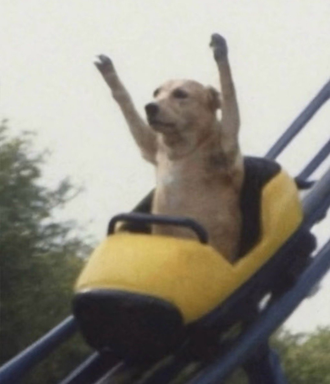 大学生真正的床上五件套大学生床上的“生存标配”：熬夜不离手的手机，随时回血的充电