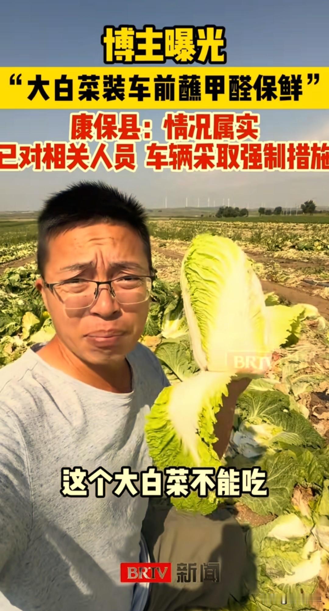 这样的大白菜你敢吃吗？为了长途运输保鲜，不法黑心商人竟然用甲醛溶液浸泡白菜。