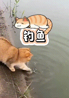 看完这条视频，画面十分有趣。橘猫趴在水边，伸出小爪子轻轻触碰水面，没想到真的吸引