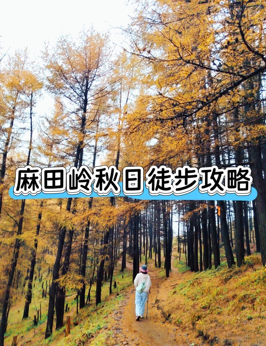 河北“小天山”！麻田岭秋日徒步美到封神河北边境的徒步秘境才是秋天该去的地方！