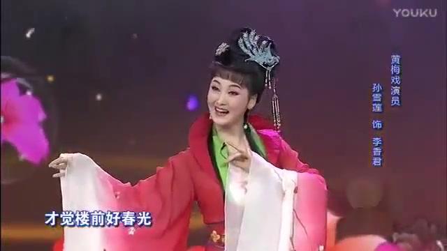 黄梅戏 孙娟《桃花扇·黄莺树上声声唱》