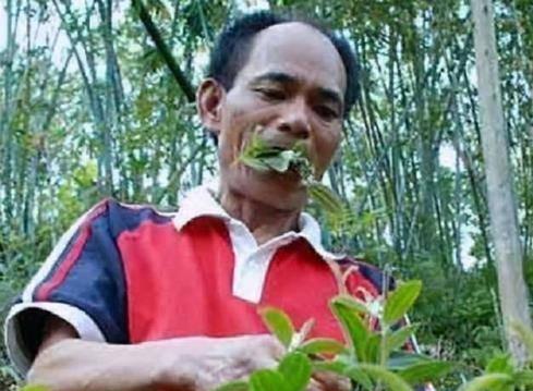 1976年起，一重庆男子吃草上瘾，34年吃了40吨草，闻到肉味就想吐，每天就靠吃